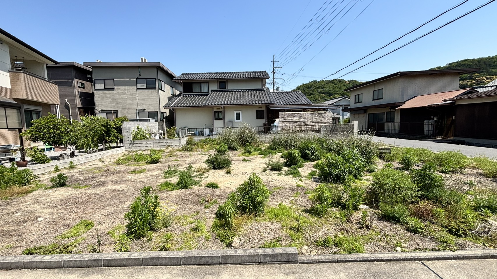 今すぐ相談を！